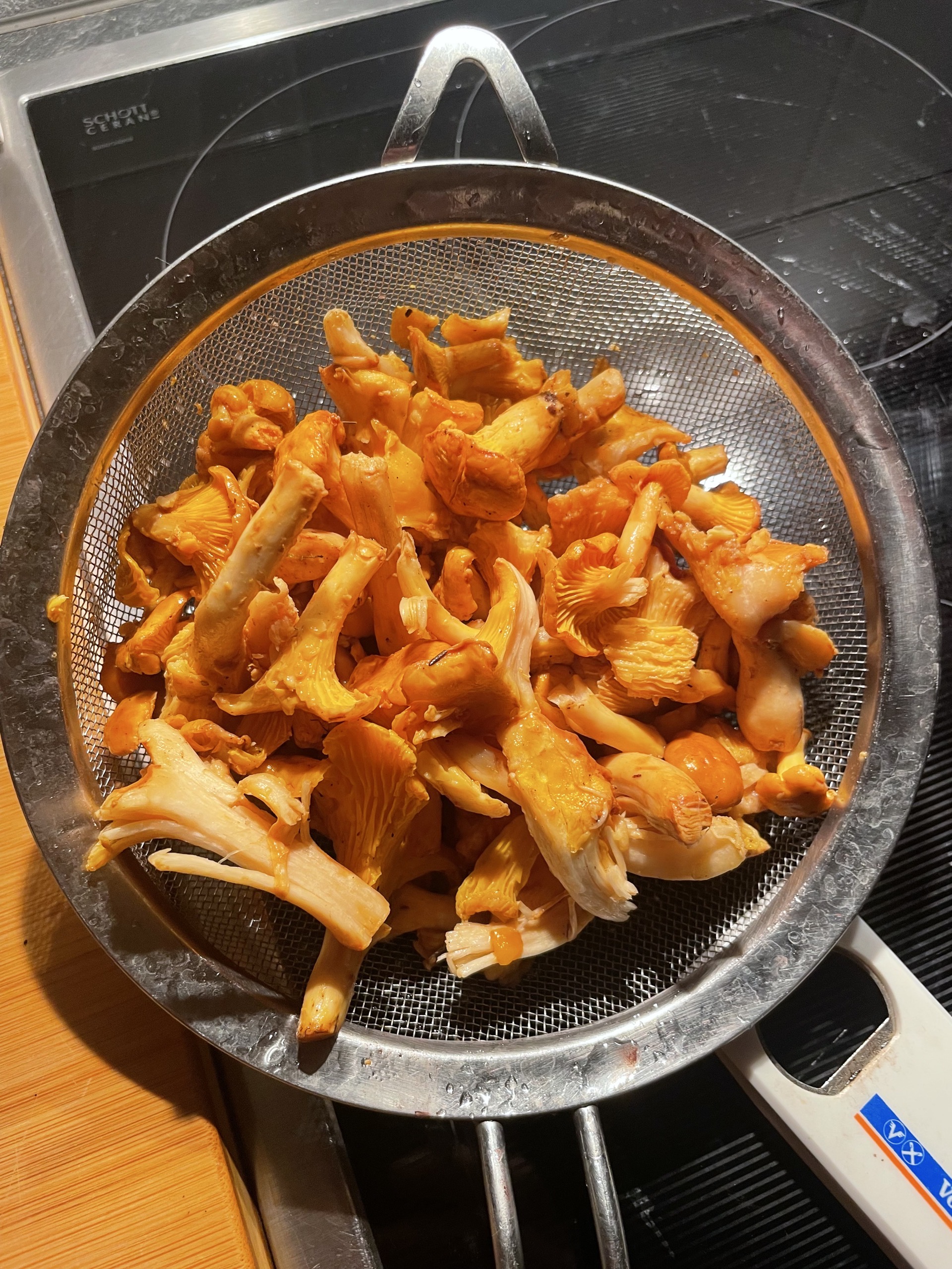 Herbst - Pilzsaison ❤️